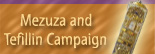 top2.jpg